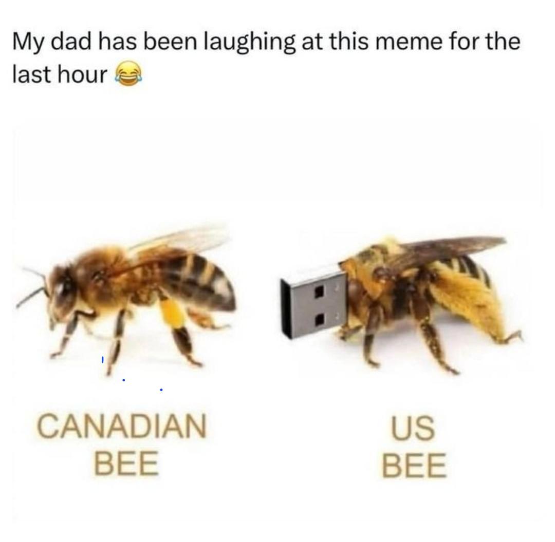 I'm laughing at this meme too😅