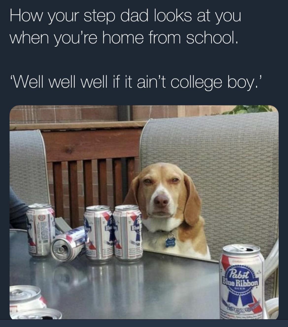 Think you’re better than me?!