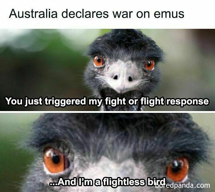 Epic !!!!!!!!!!!