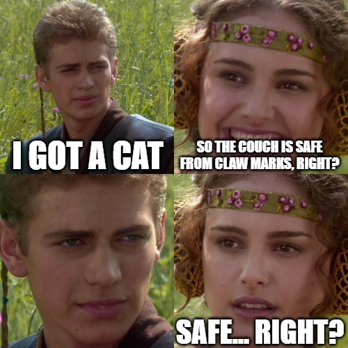 Every Cat Owner’s False Hope