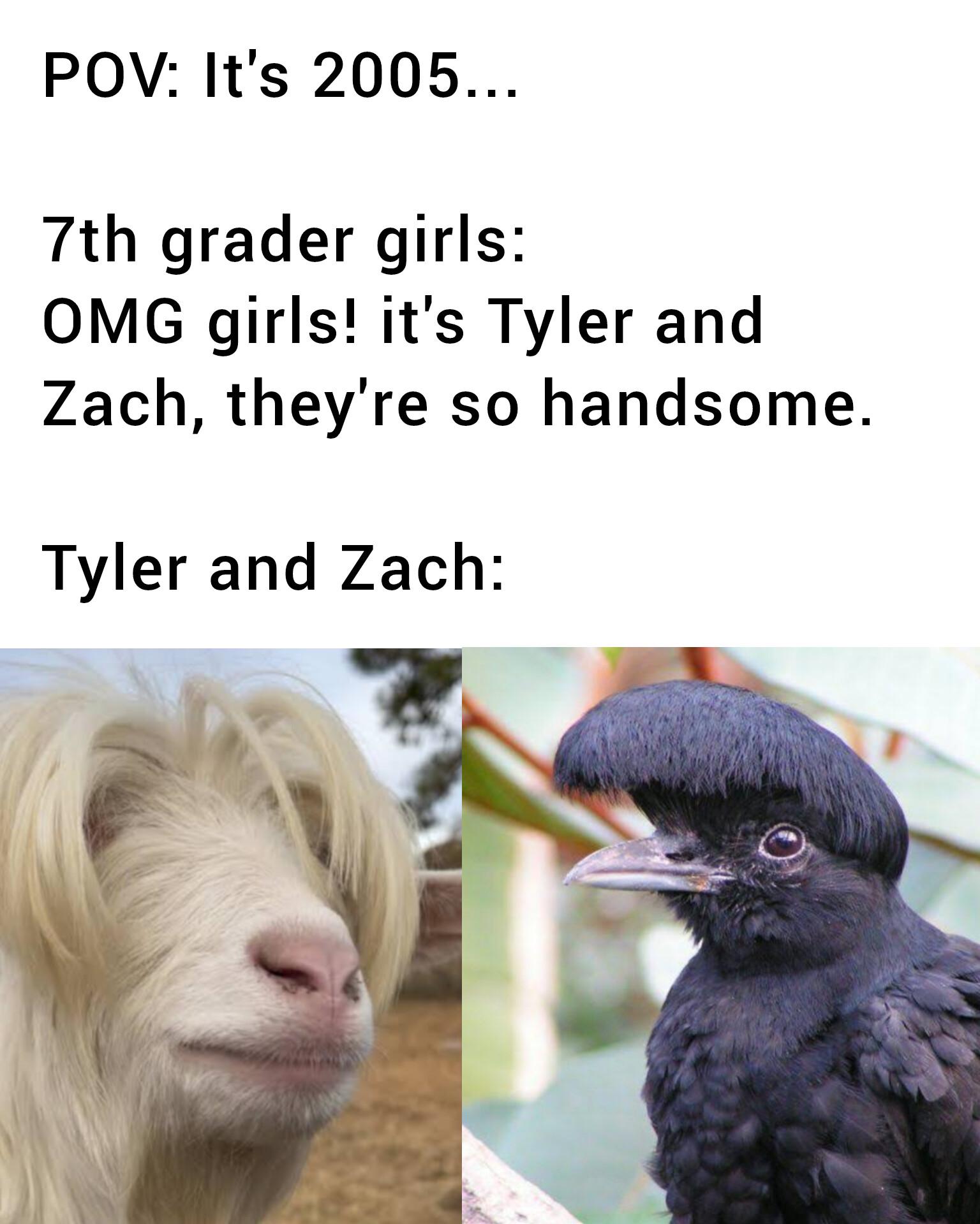 2 kool 4 schoolz