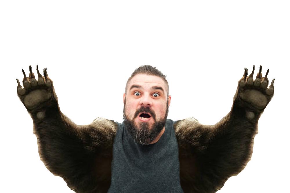 The right of bear arms or idk i'm not American.