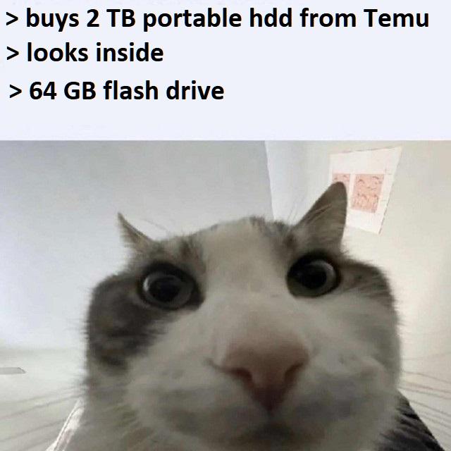 Never buy a hard drive for 20$