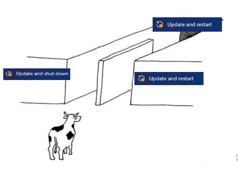 Fuck you, Microsoft!