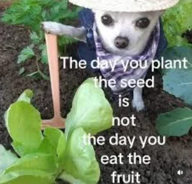 Looking for more of these to decorate a colleague office please