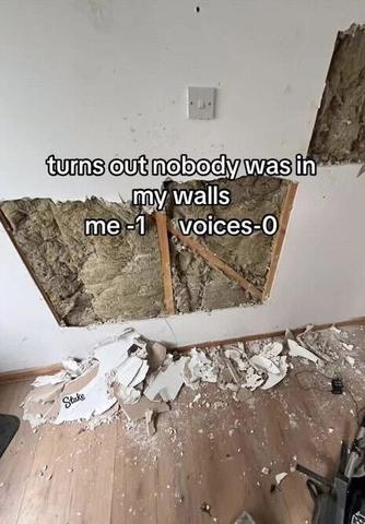 No one was in my walls