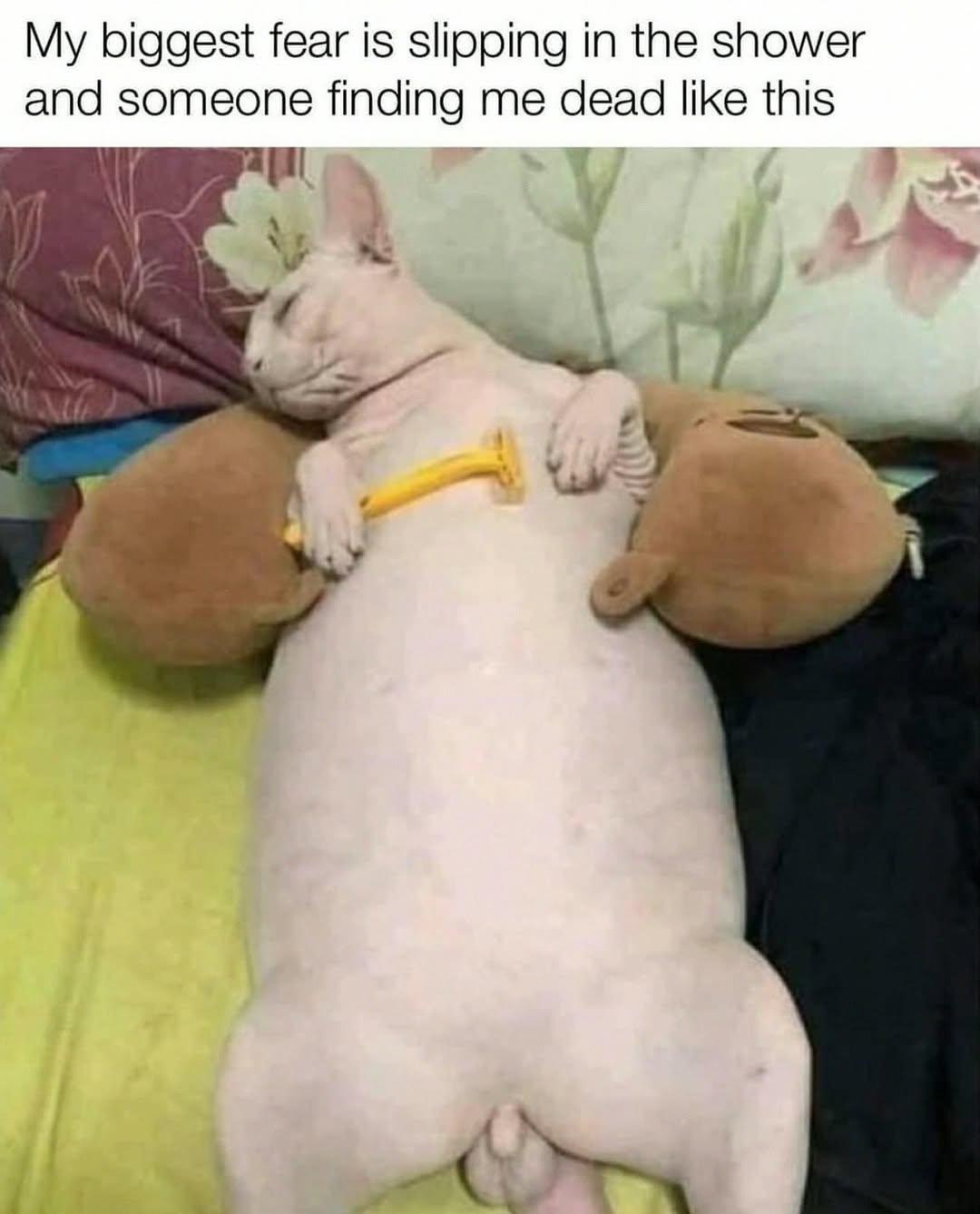 Relatable AF 😭😭