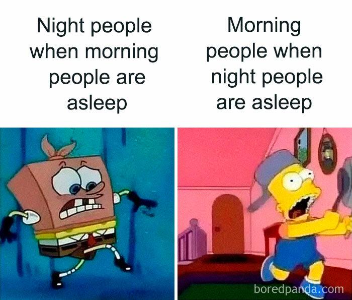 Night: silent, Morning: noisy 😅