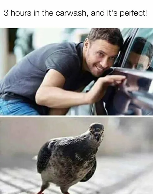 My Luck Everytime, I do something Good!