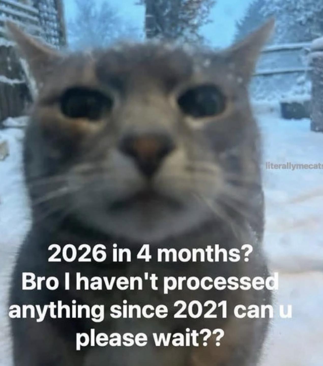 THIS YEAR WENT BY IN THE BLINK OF AN EYE LOL