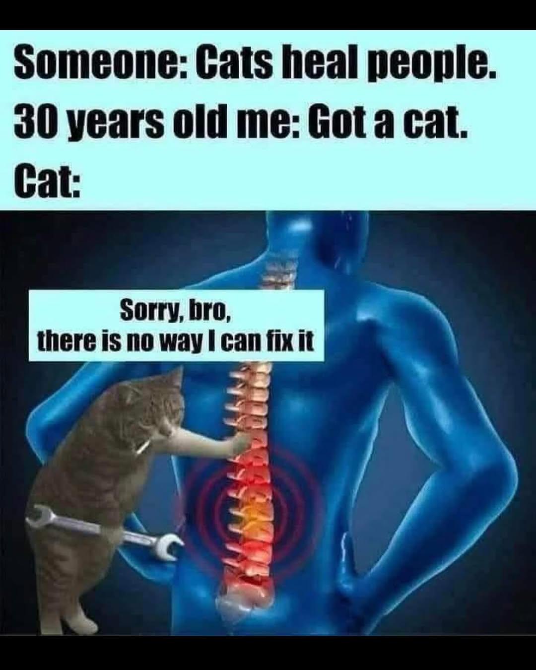 I can only do so much…
