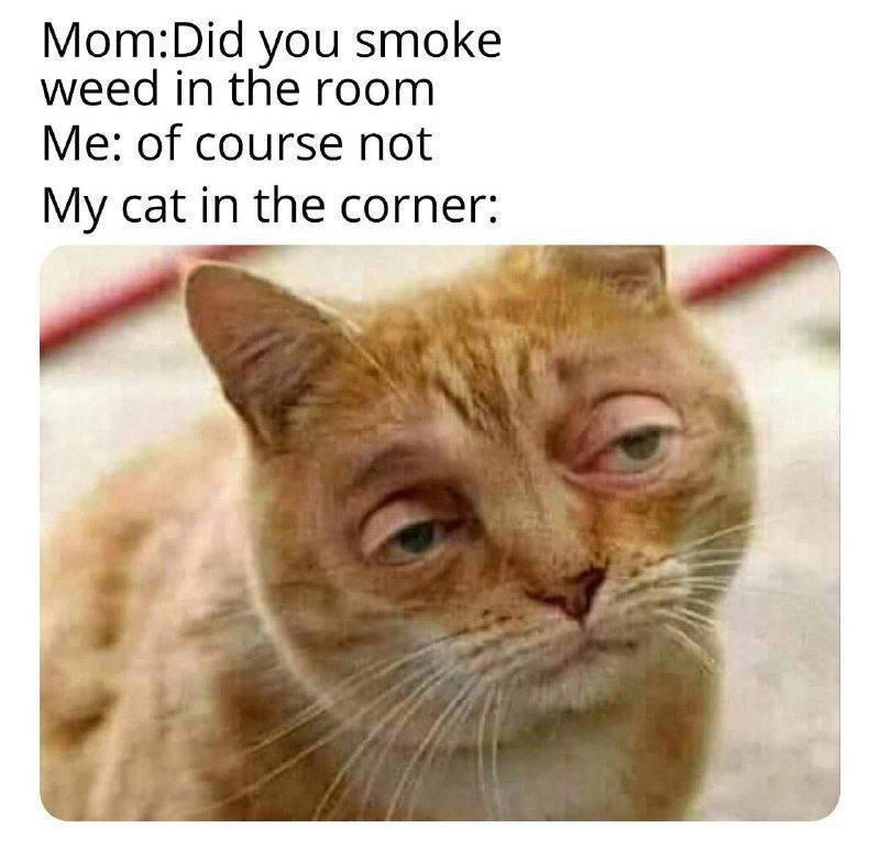 Those eyes say it all