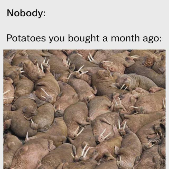 evolved while I was busy