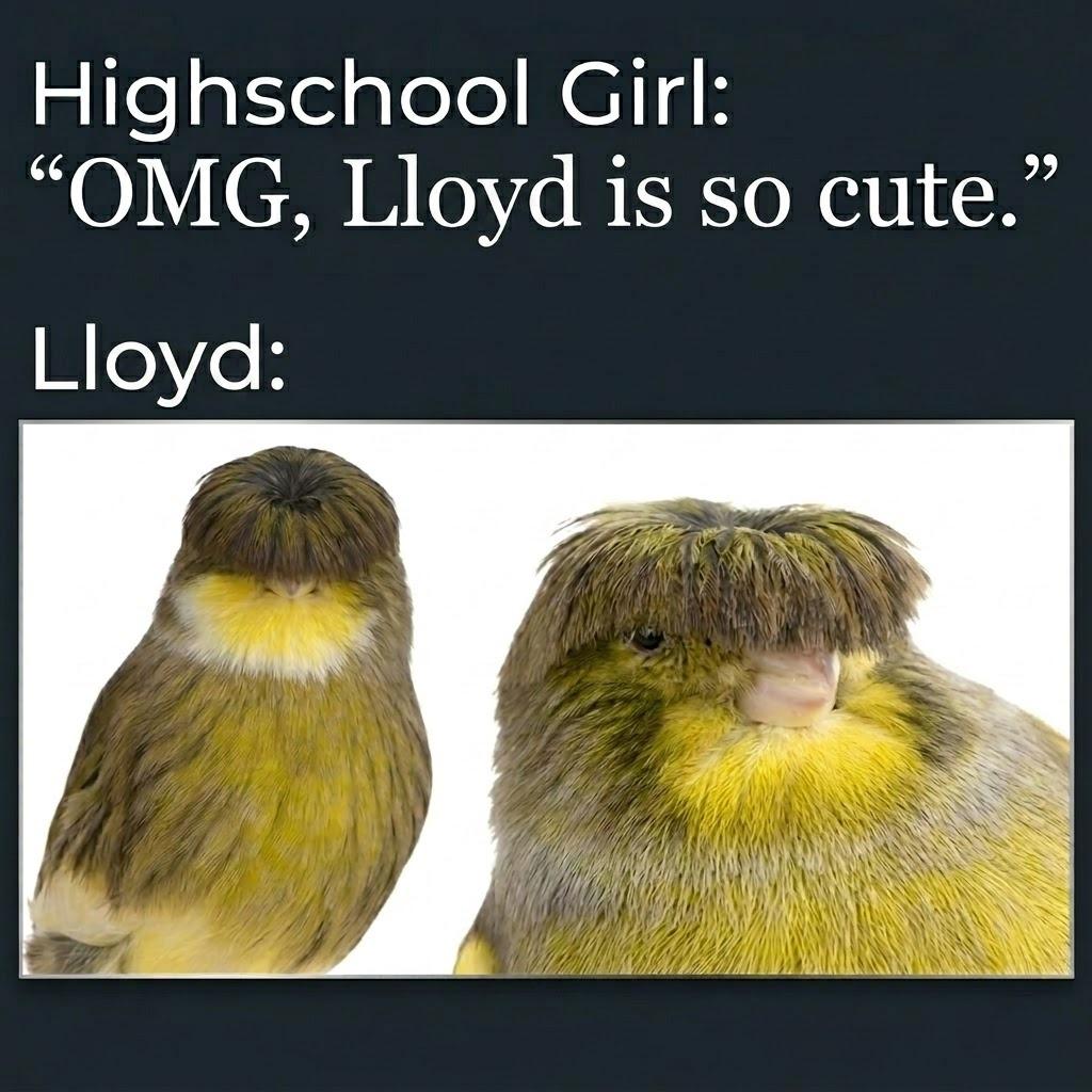 Pretty Birb.
