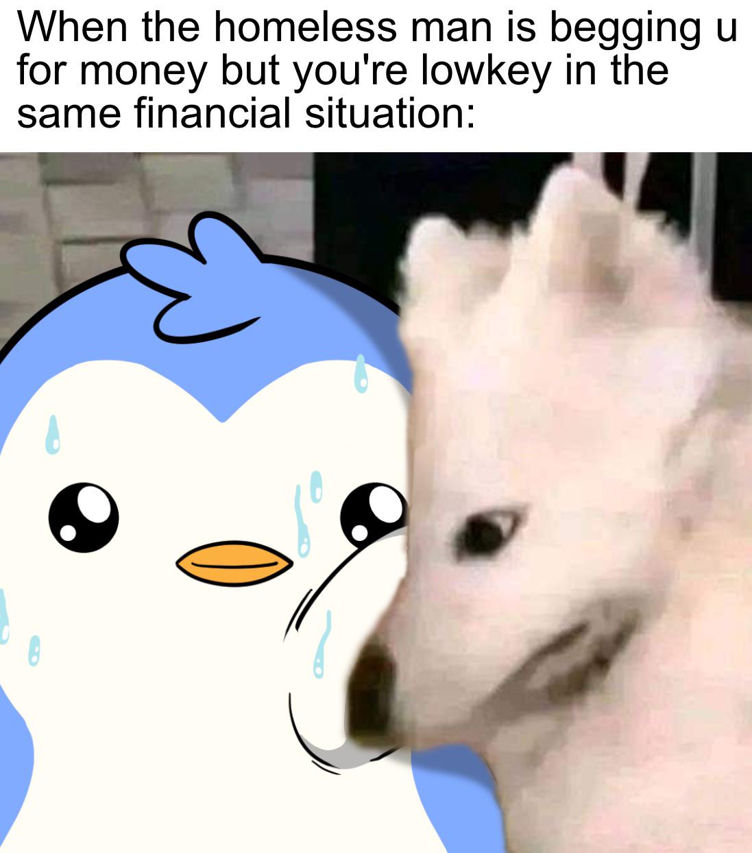 Im sorry twin
