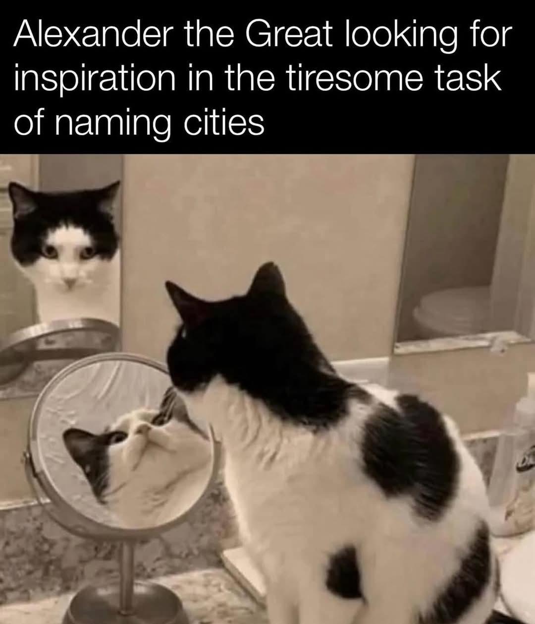 MEow it is