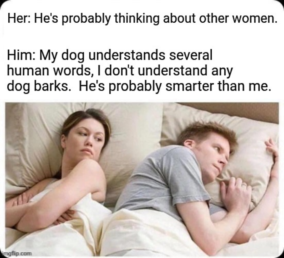 Dogs are smart