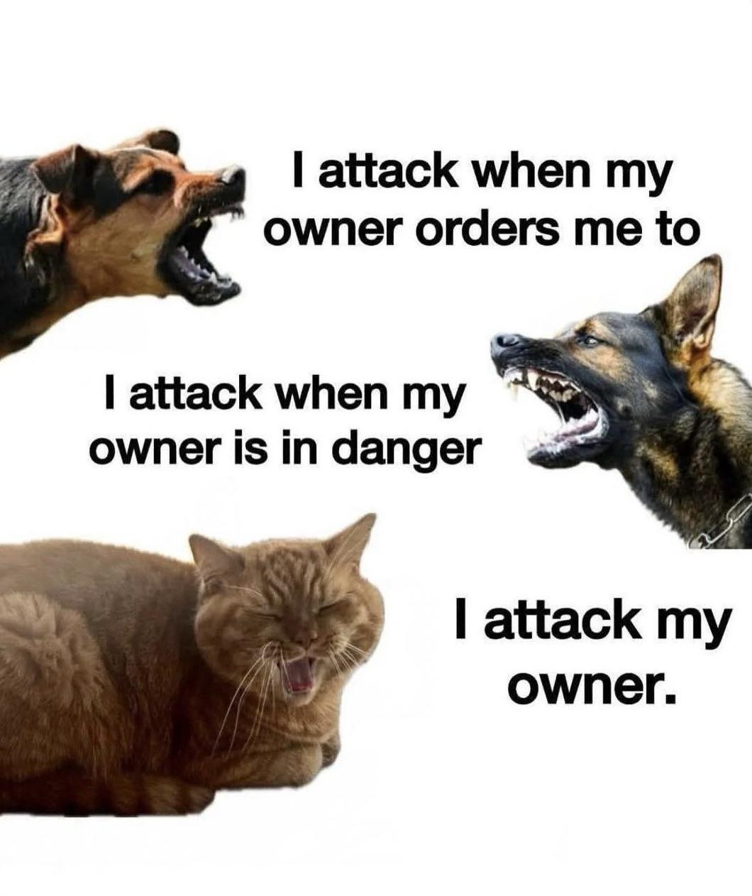 Temper problems or something