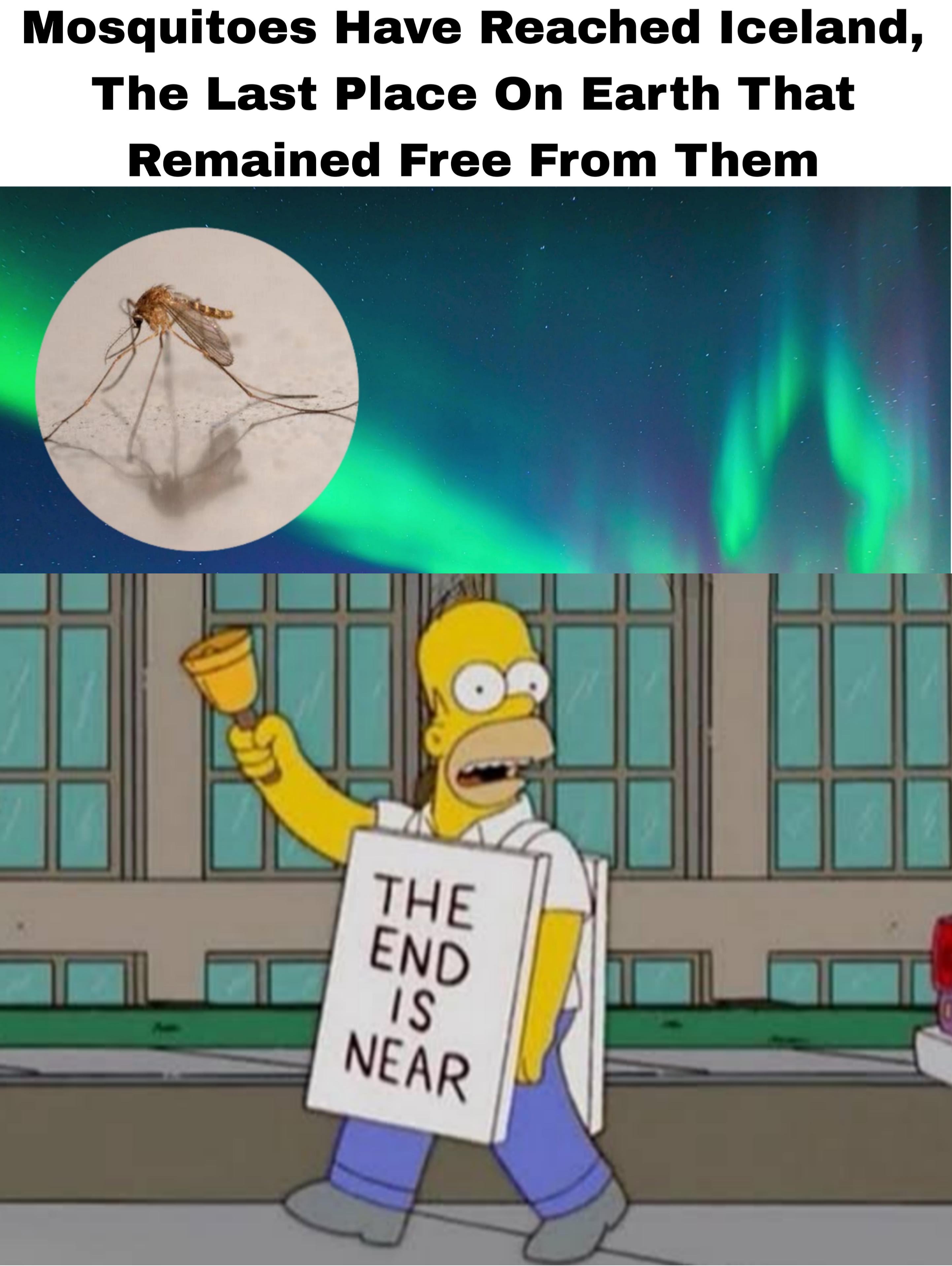 We still have antartica