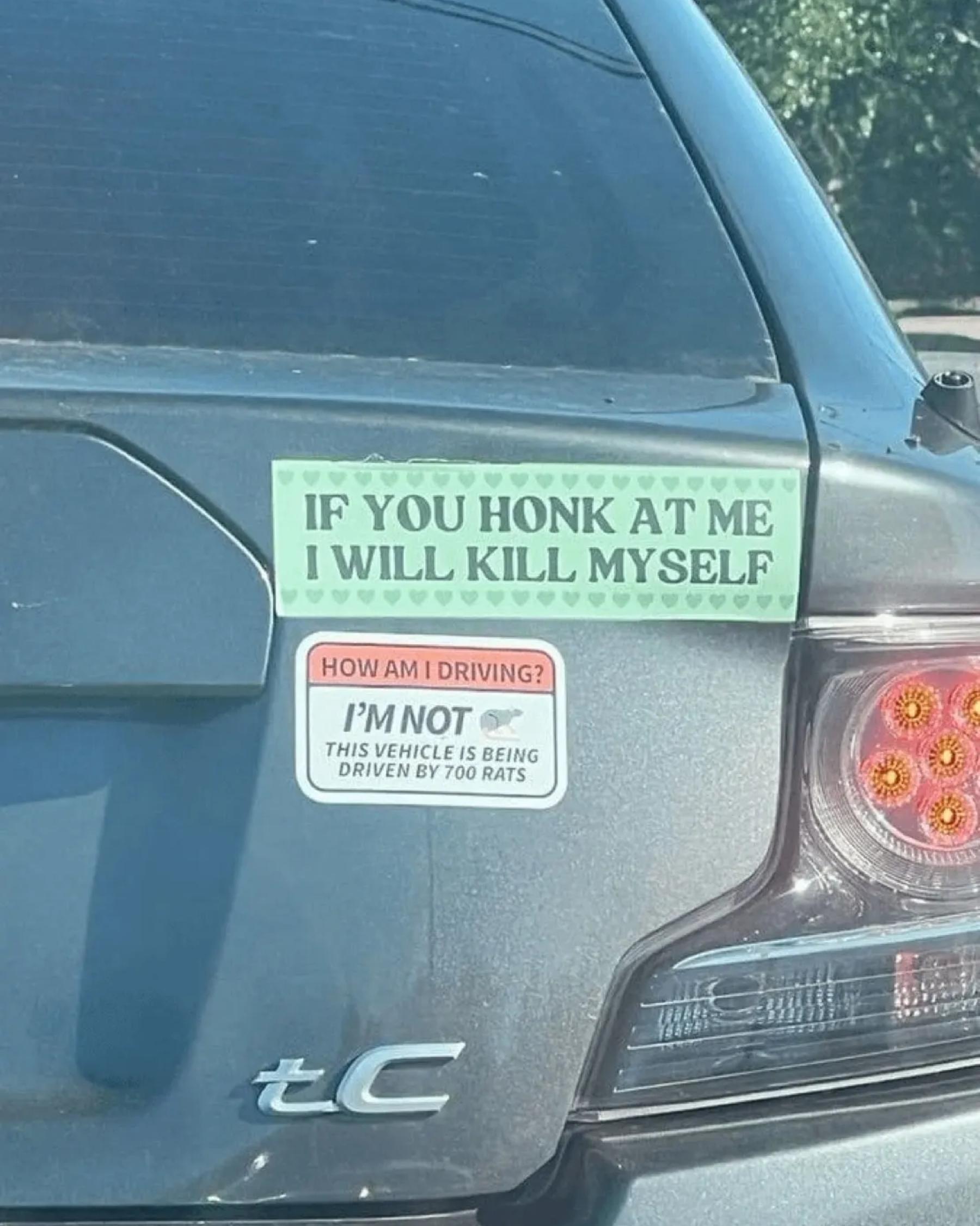 The rats from Ratatouille restaurant going home.