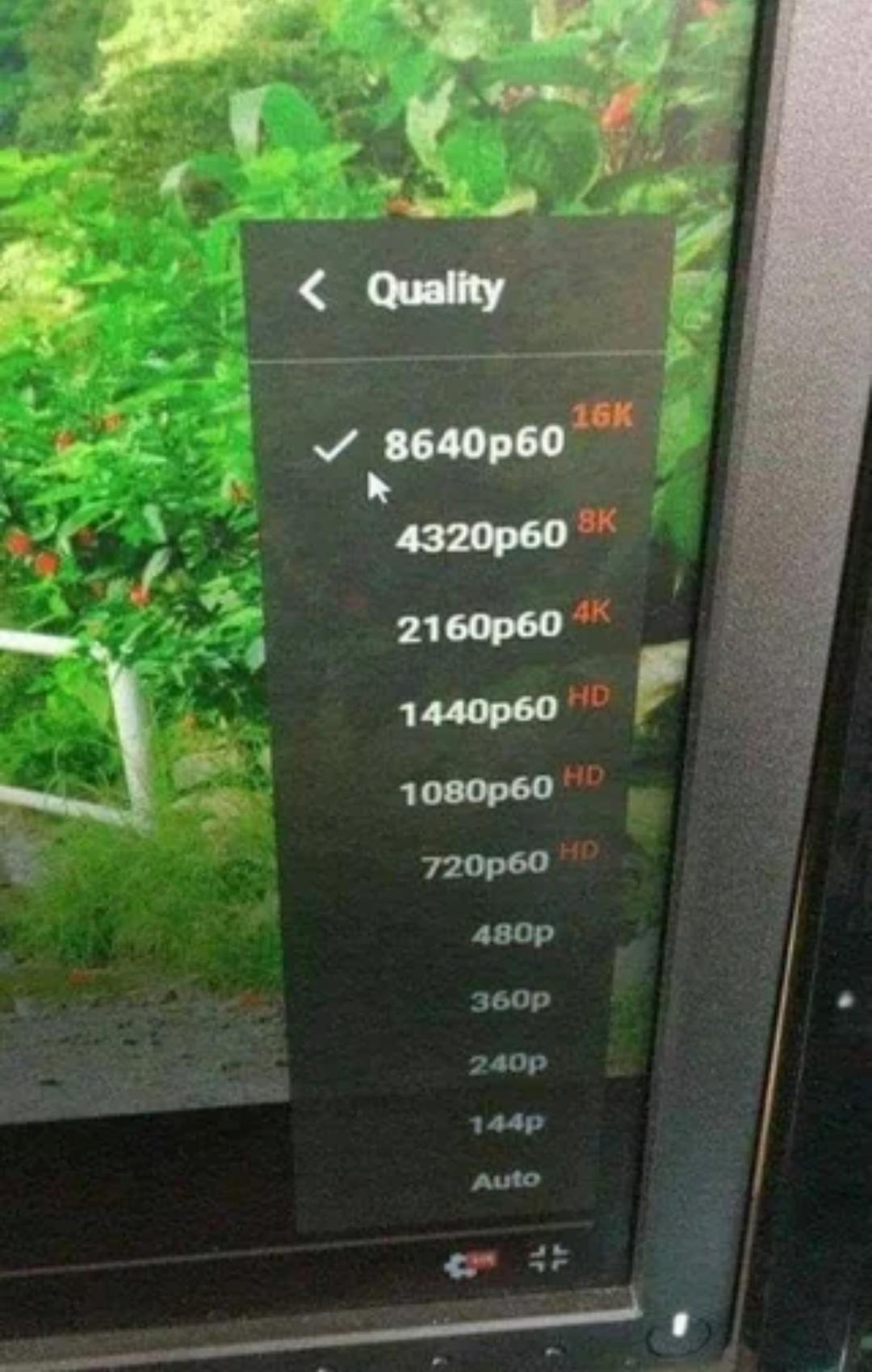 Friends when u give them hotspot.