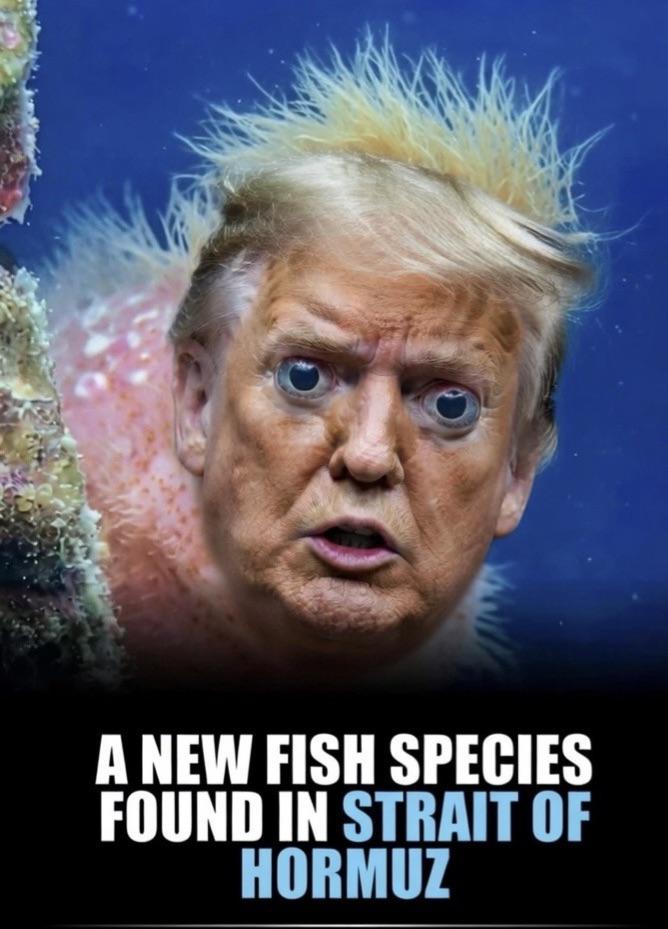A new species of fish has been found