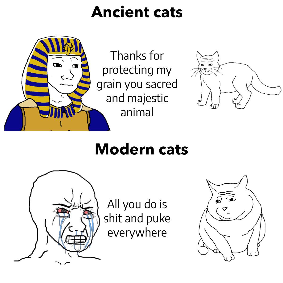 Cats are awesome