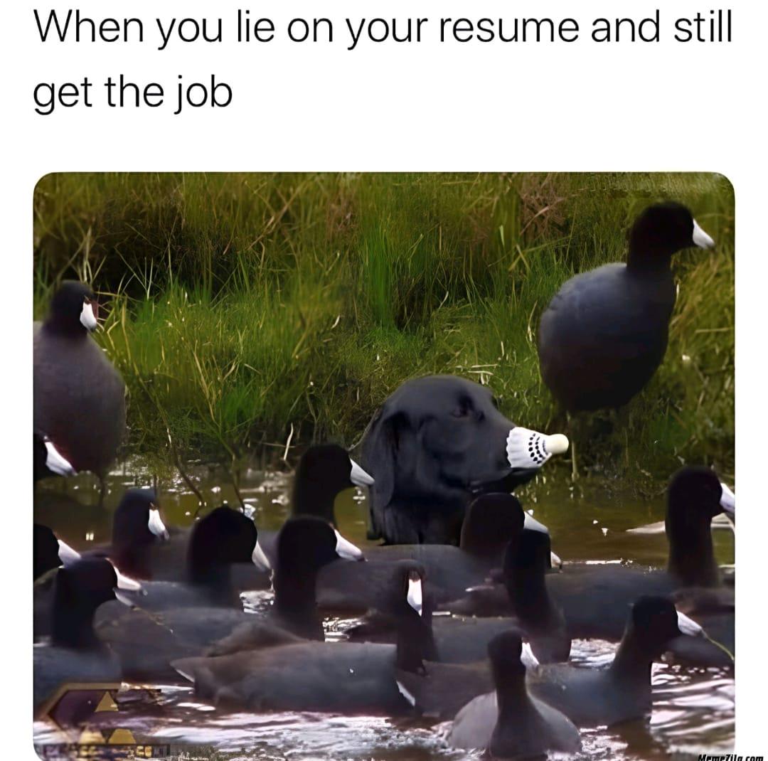 You're hired!