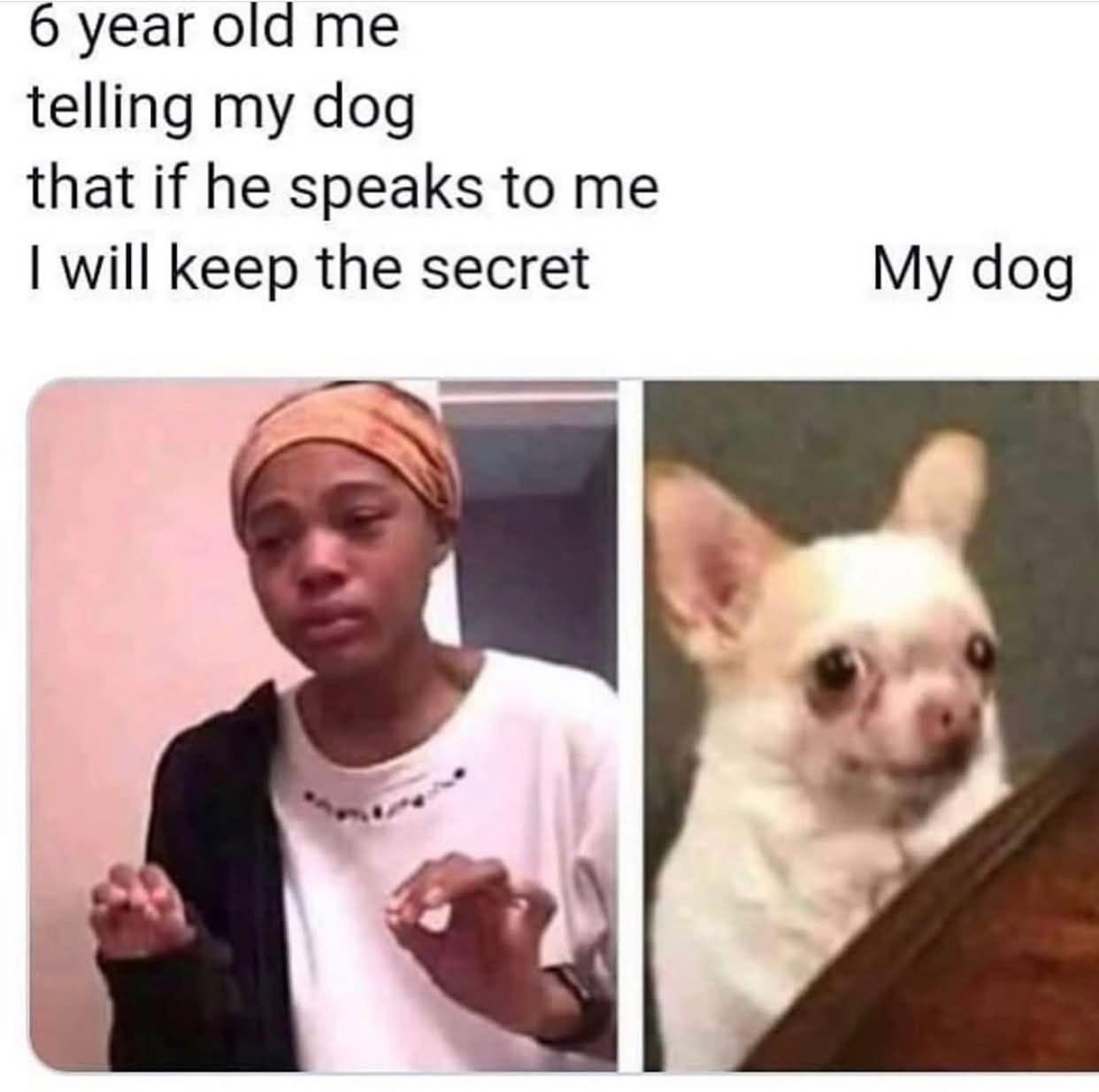 Nobody would believe you anyway… dog, probably.