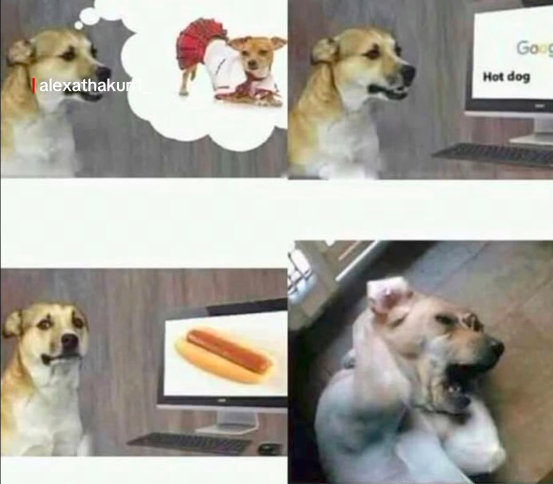 Who said being a Dog is easy?