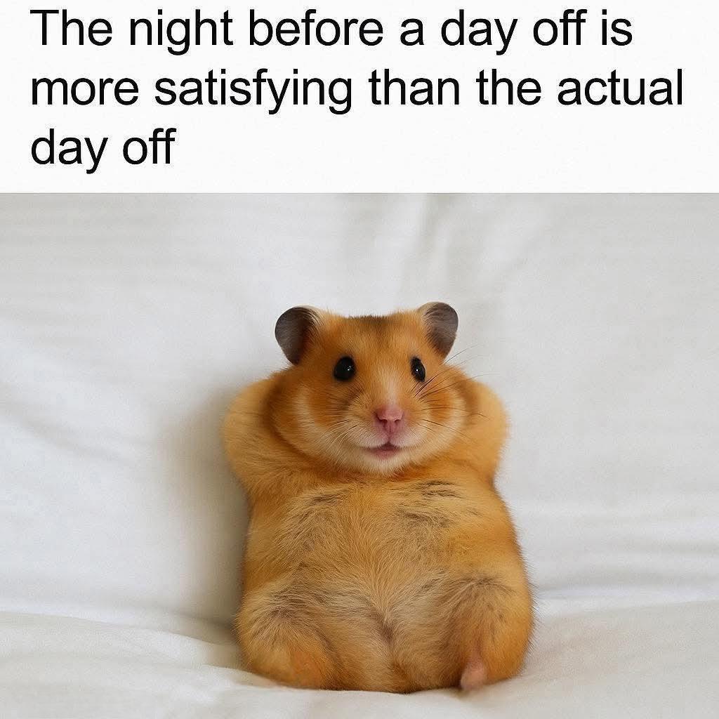 Today is Bank Holiday in Germany.