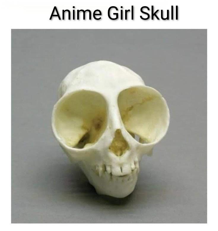 It looks like the truth.