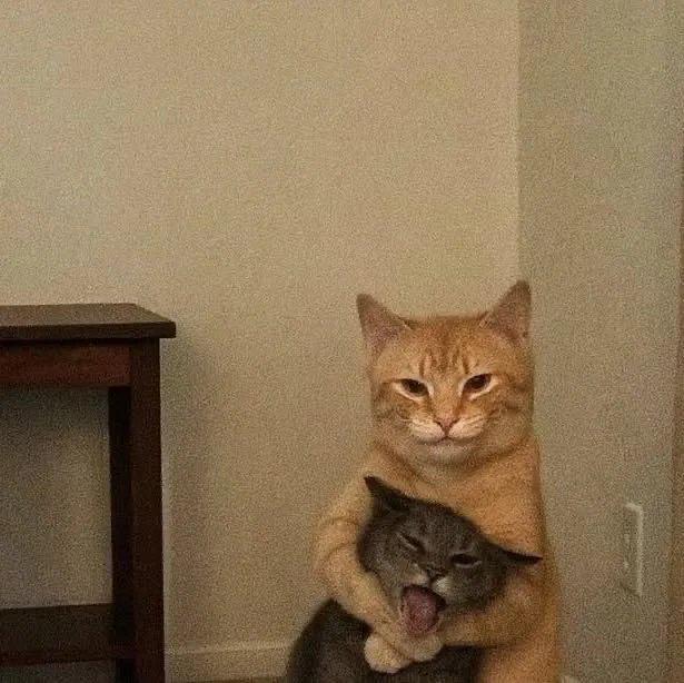 This does not concern you, just keep scrolling.