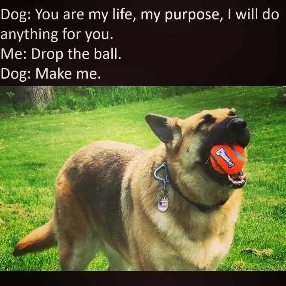 Make  me 😂