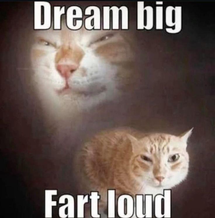 Ate too much protein today🤢