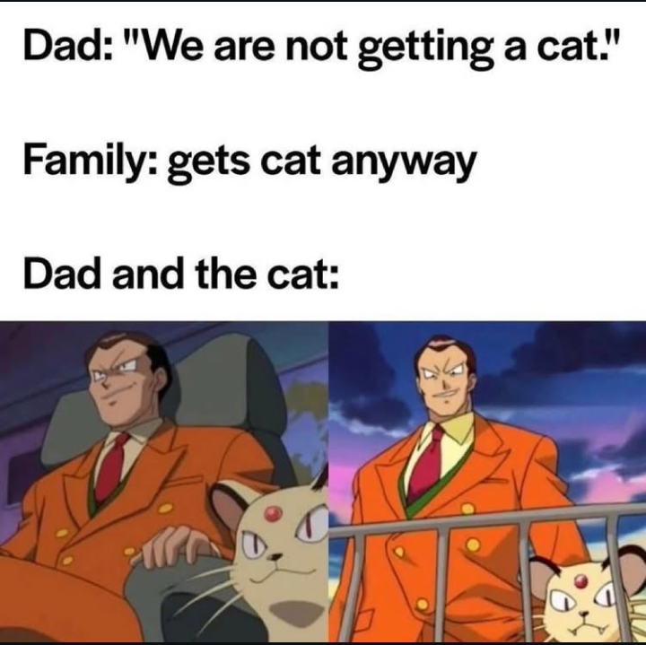 Dad and the cat