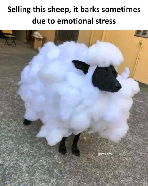 LoL LoL LoL 😁
