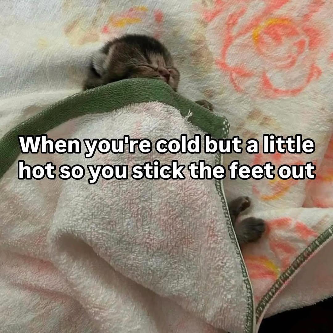 Raise your hands if you feel the same!