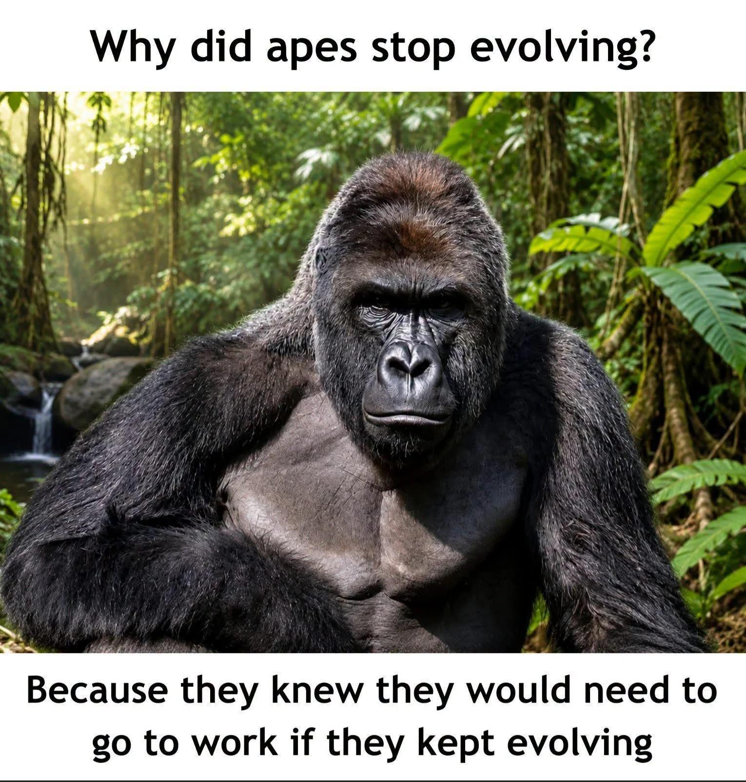 modern problems avoided
