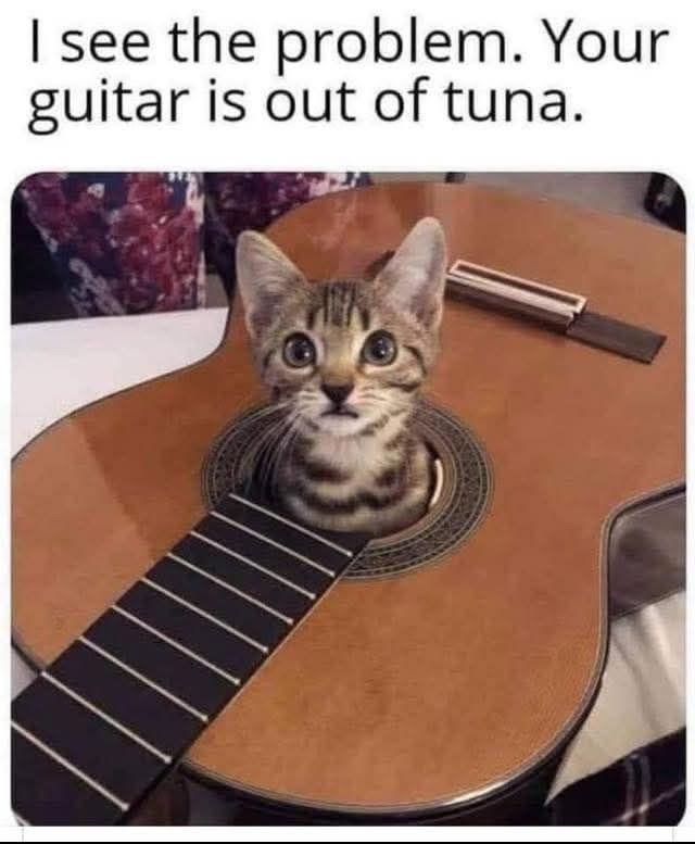 definitely not the strings