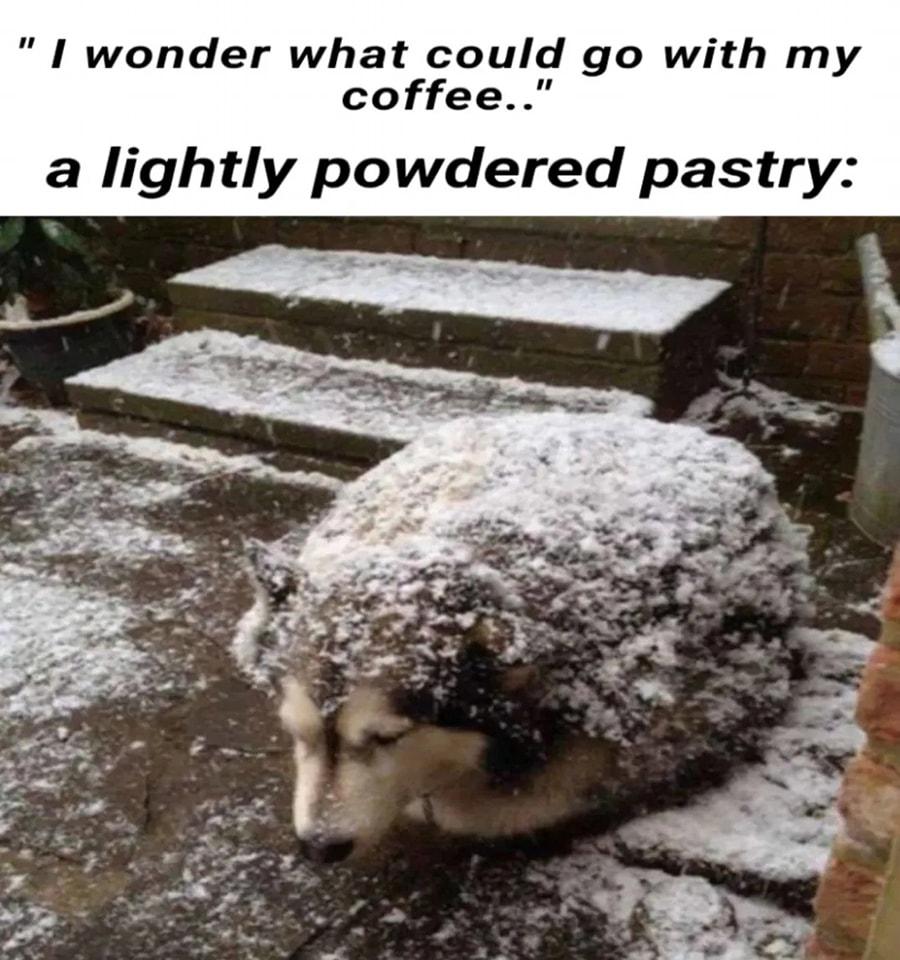 It's that time of year