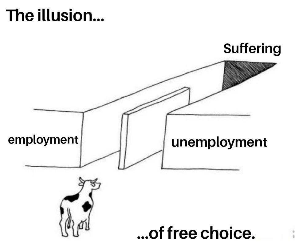 The soul crushing reality, so follow your dreams! There is no safe option anymore