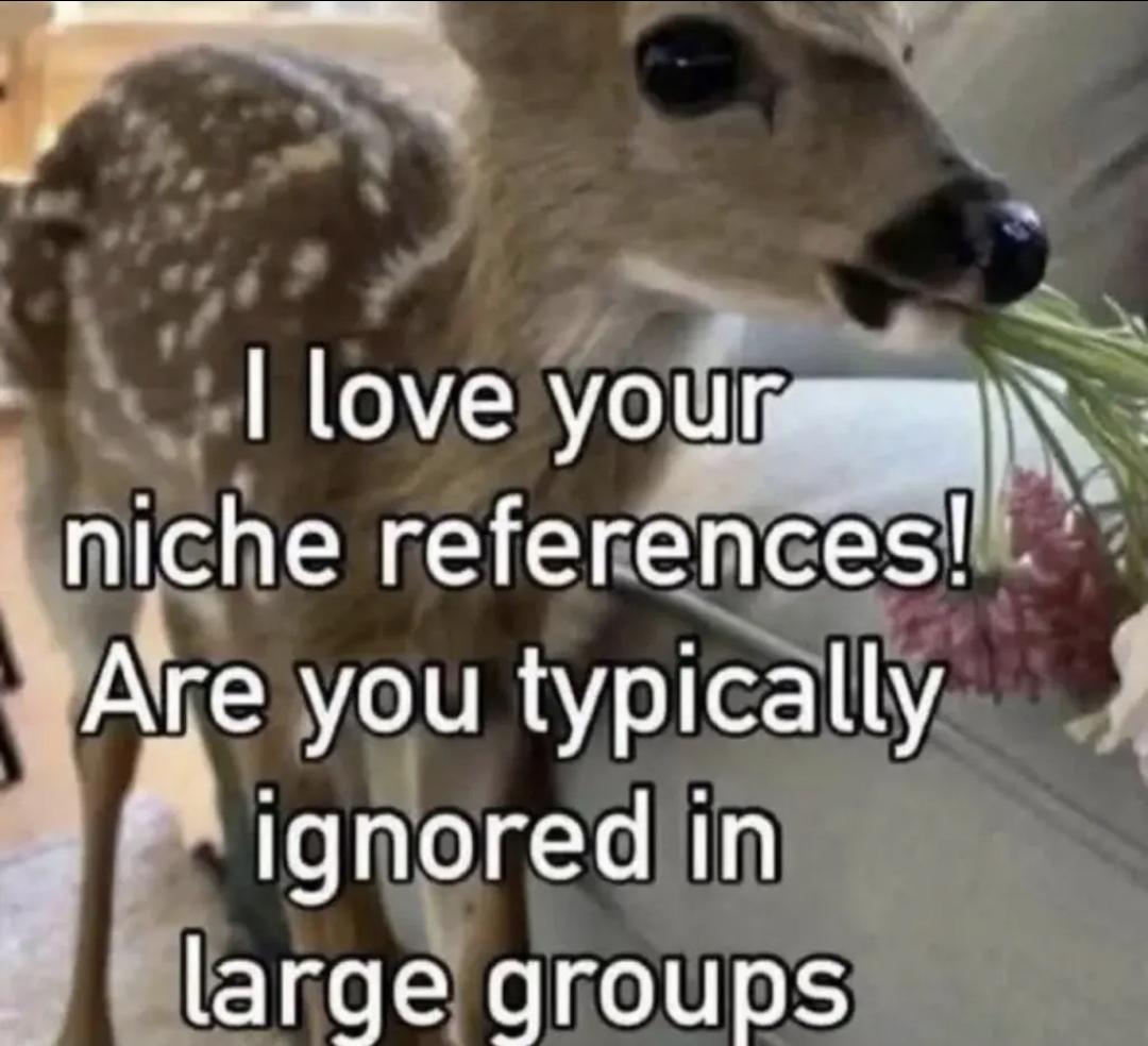Have you?? Shoot them!!
