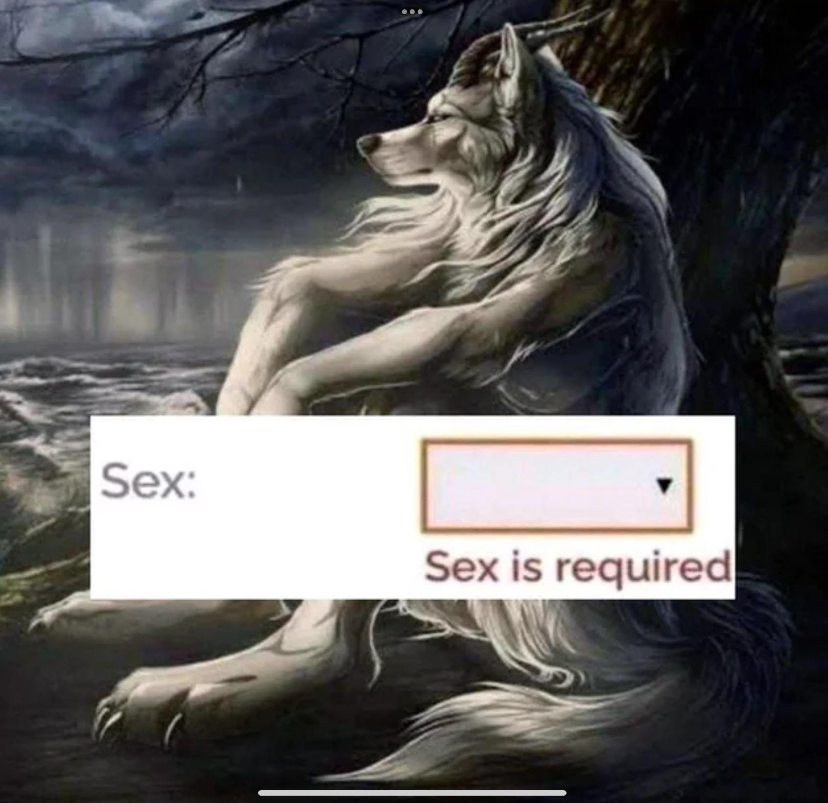 Sigma until the form says otherwise