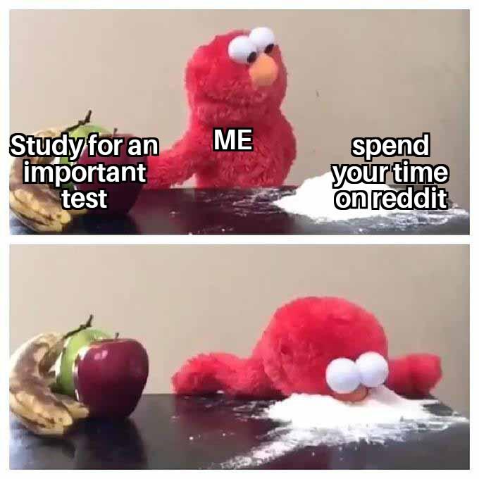 I should be studying right now