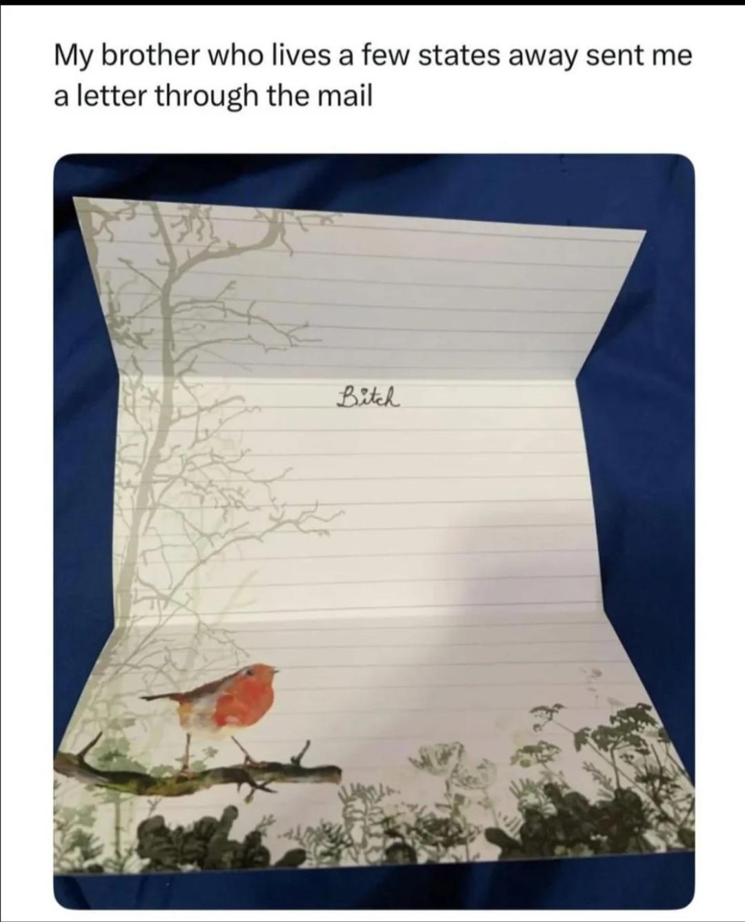 WTF IS THIS 😭😭