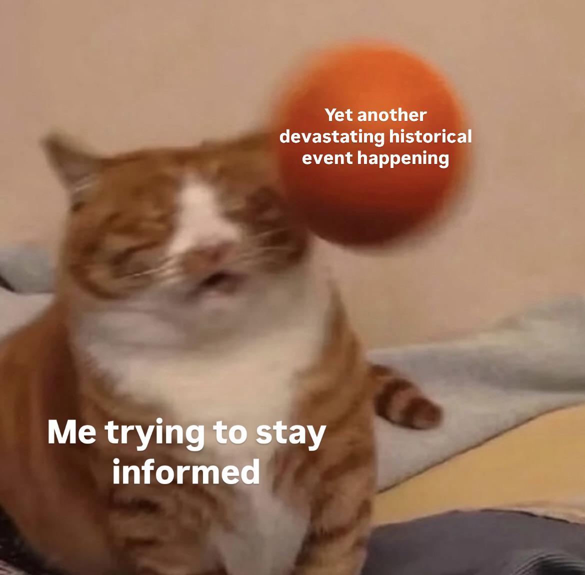 Please someone make it stop