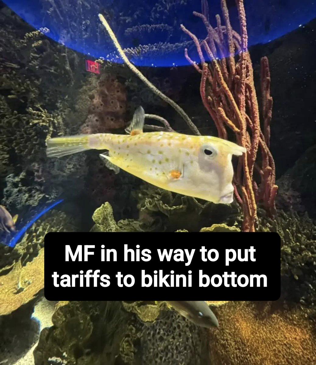 I was deported from the aquarium