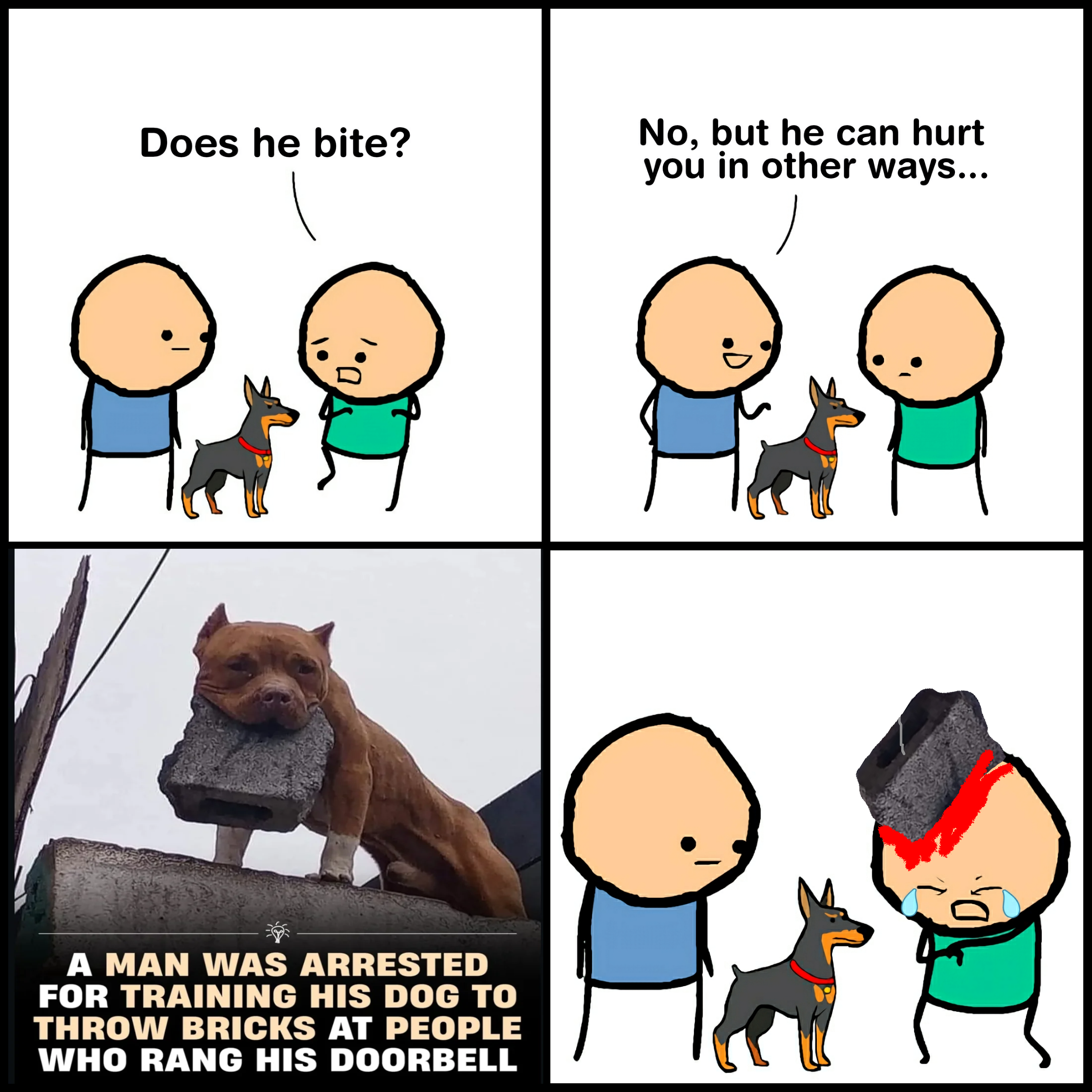 Man's best friend