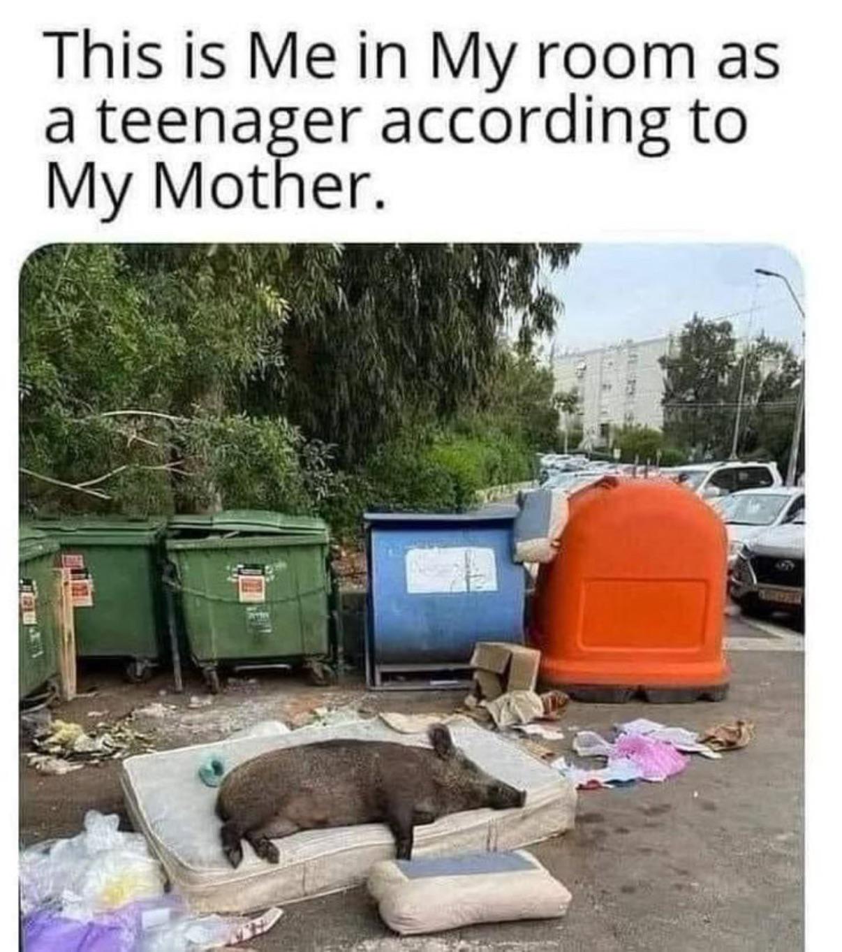 My room according to my mother π